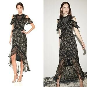AMUR Womens 6 Printed Edna Dress 100%‎ Organic Silk Floral Lace Ruffle Romantic